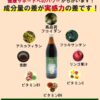 フコイダンAFプレミアム（900ml×2本） - 画像 (2)